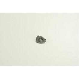 COLLAR BADGE JABATAN LAUT